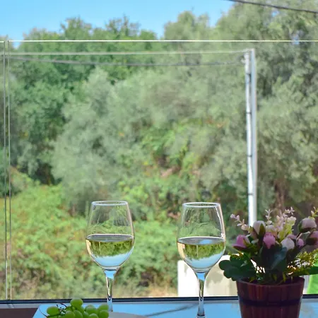 S & E Apartment Lefkada City