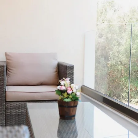 S & E Apartment Lefkada City